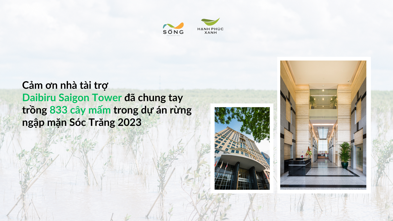 Daibiru Saigon Tower tài trợ hơn 800 cây mấm cho dự án trồng rừng ngập mặn tại Sóc Trăng 2023