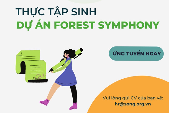 Thực tập sinh dự án Forest Symphony